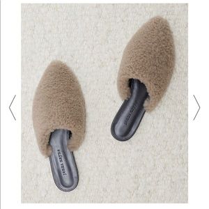 ISO jenni kayne mules